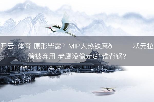 开云·体育 原形毕露？MIP大热铁麻🙃状元拉胯被弃用 老鹰没偷走G1谁背锅？