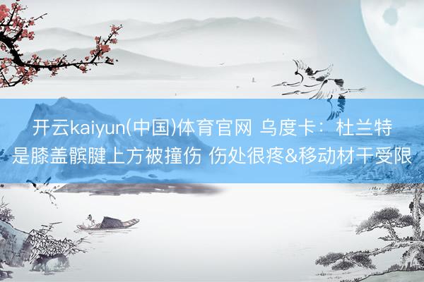 开云kaiyun(中国)体育官网 乌度卡：杜兰特是膝盖髌腱上方被撞伤 伤处很疼&移动材干受限