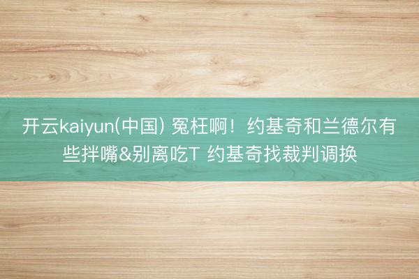 开云kaiyun(中国) 冤枉啊！约基奇和兰德尔有些拌嘴&别离吃T 约基奇找裁判调换