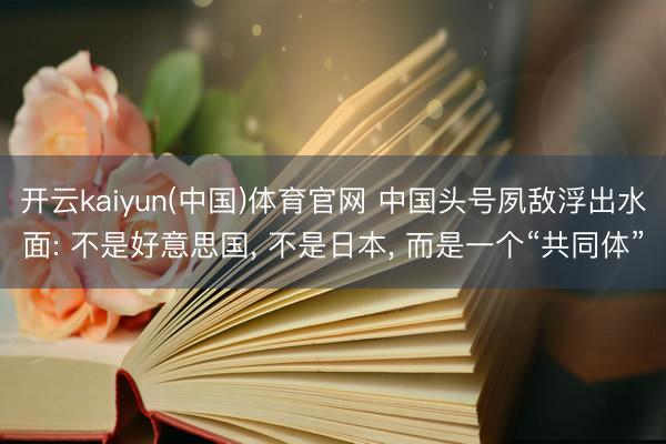 开云kaiyun(中国)体育官网 中国头号夙敌浮出水面: 不是好意思国， 不是日本， 而是一个“共同体”