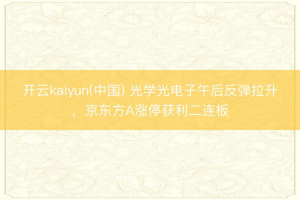 开云kaiyun(中国) 光学光电子午后反弹拉升，京东方A涨停获利二连板