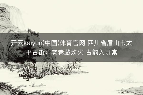 开云kaiyun(中国)体育官网 四川省眉山市太平古街：老巷藏炊火 古韵入寻常