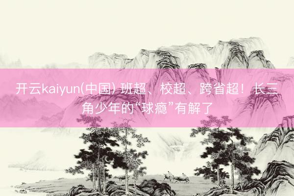 开云kaiyun(中国) 班超、校超、跨省超！长三角少年的“球瘾”有解了