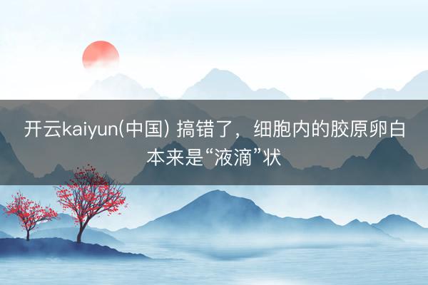 开云kaiyun(中国) 搞错了，细胞内的胶原卵白本来是“液滴”状