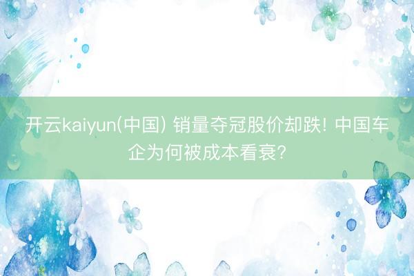 开云kaiyun(中国) 销量夺冠股价却跌! 中国车企为何被成本看衰?